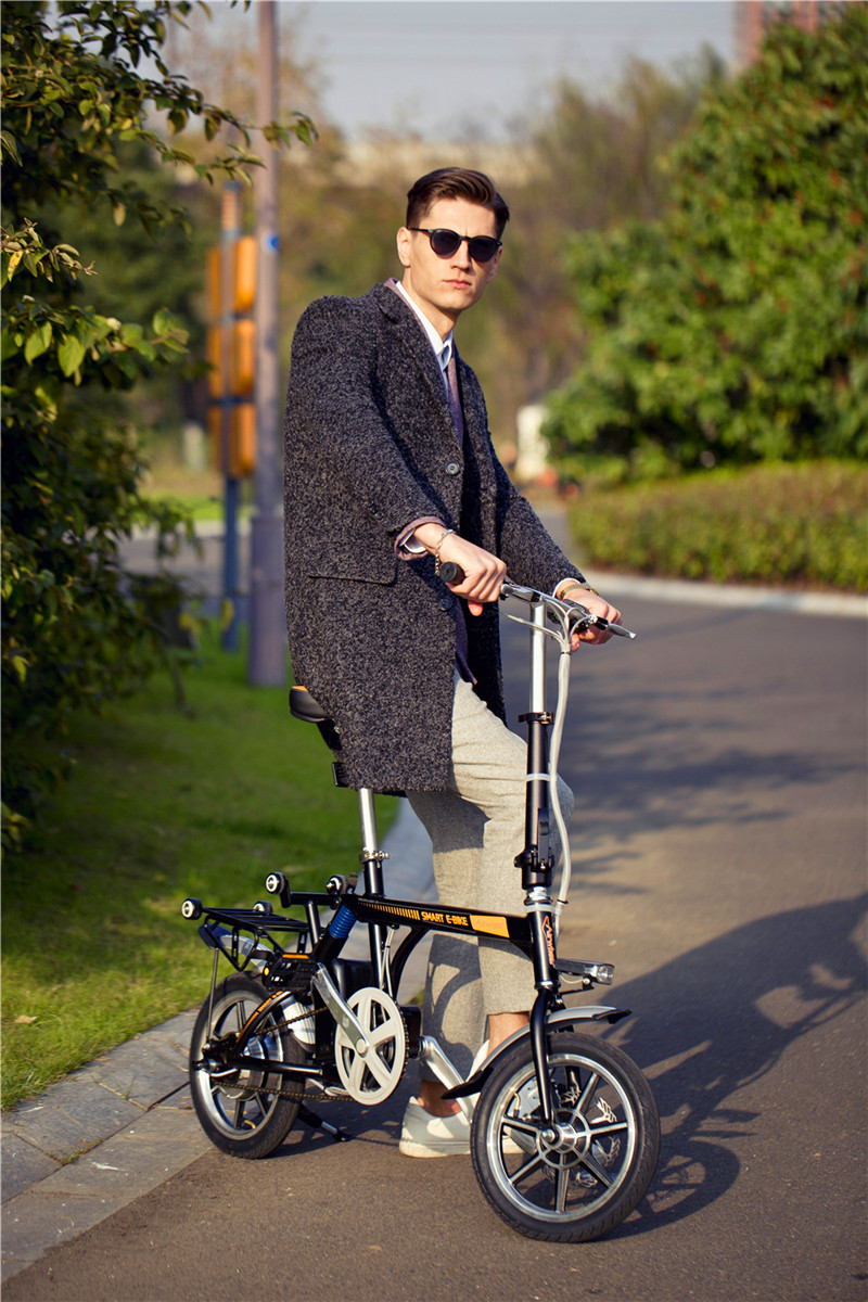 electric assist bike